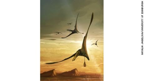 Illustration depicting a pterosaur, which had a wingspan of over 2.5 meters (8.2 ft). 