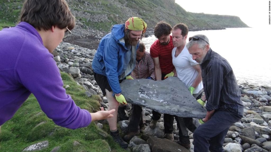 Fossil of a giant flying reptile discovered on a Scottish island