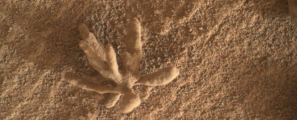 Curiosity Rover captured this photo of a delicate and delicate metallic "flower" on Mars