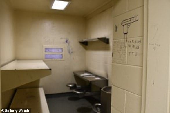 The worst of prison: the solitary confinement cell at the Cook County Jail.  It is unlikely that Josie would be placed in one of these cells