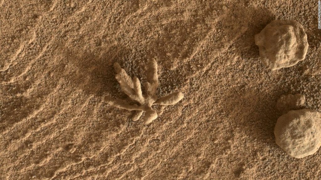A small "flower" formation spotted by the Curiosity rover on Mars